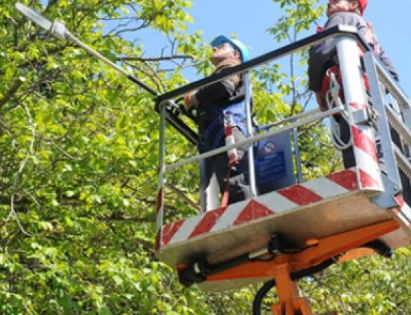 Áramszünet lesz a Sikló utcán - A légvezetékbe érő gallyak eltávolítását végzik 