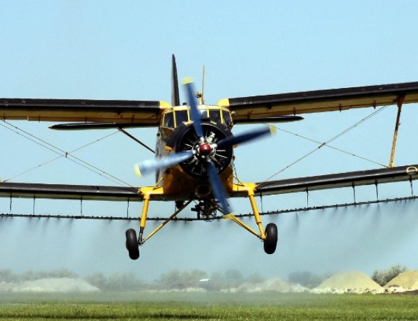 Atkafélék, élősködők elleni vegyszeres védekezés várható, 2019. augusztus 6-7 között