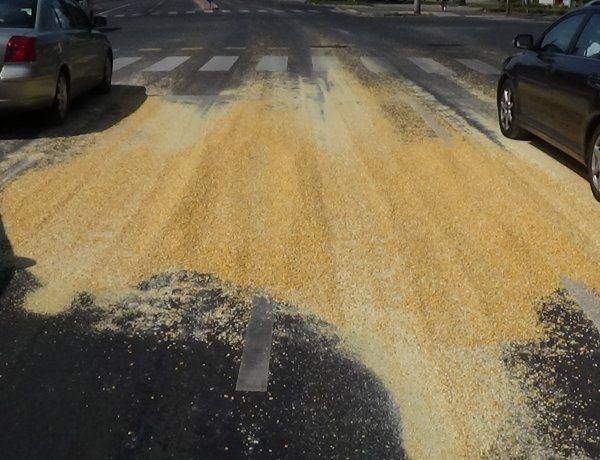 Az Erdősoron nagy mennyiségű szemes kukoricát hagyott el egy teherautó