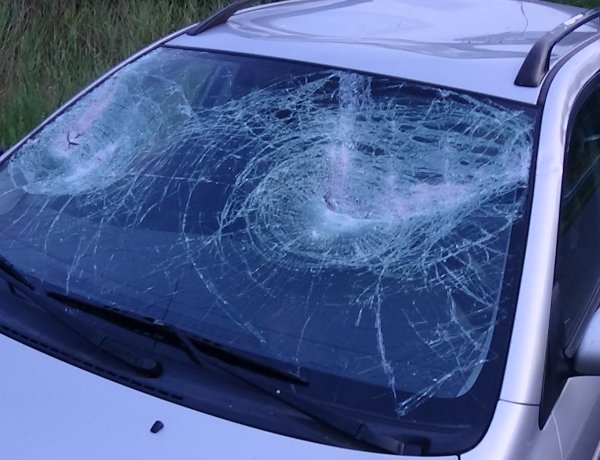 Baromfiláda repült le egy nyerges vontatóról - Betörte egy autó szélvédőjét