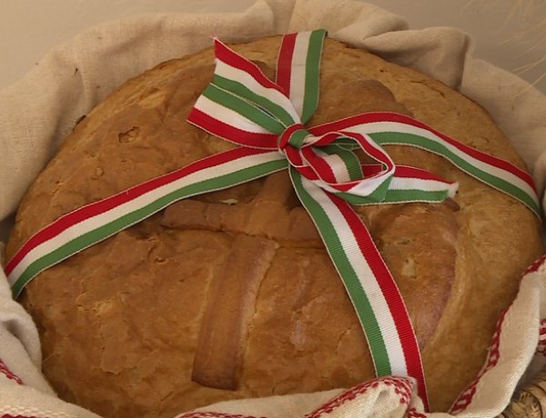 Magyarok kenyere – 15 millió búzaszem – Tovább szélesedik az összefogás