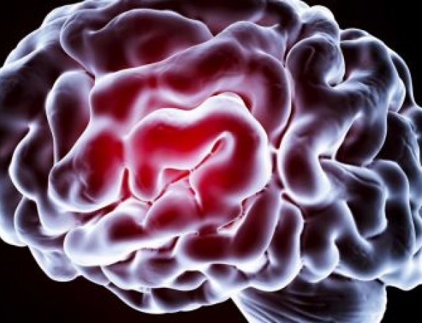 Gondolta volna? Az új dolgok megtanulása fiatalítja az agyat!