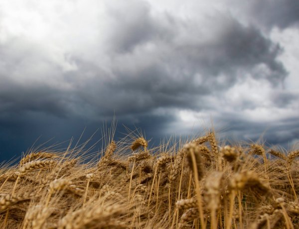 Néhány napon belül kiadós zápor jöhet – Ilyen időjárásra számíthatunk a héten