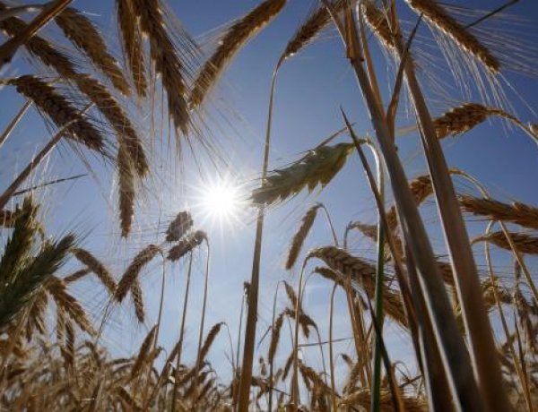 Melegszik az idő az ünnepi hosszú hétvégén: akár 34 fok is lehet