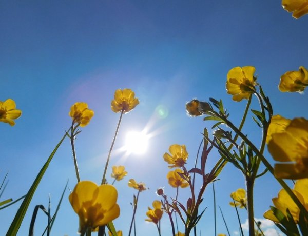 Napos idő lesz a hosszú hétvégén - Nappal 31 fok várható, de este se lesz 15-nél kevesebb
