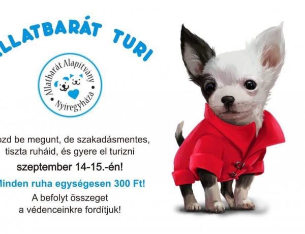 Ilyen még biztos nem volt Nyíregyházán - Állatbarát turi az Állatbarát Alapítvány lakóiért