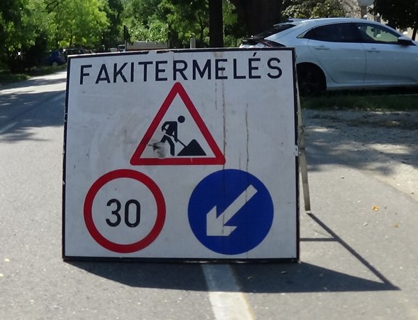 Faápolási munkálatokat végeznek a NYÍRVV munkatársai a Búza utcán