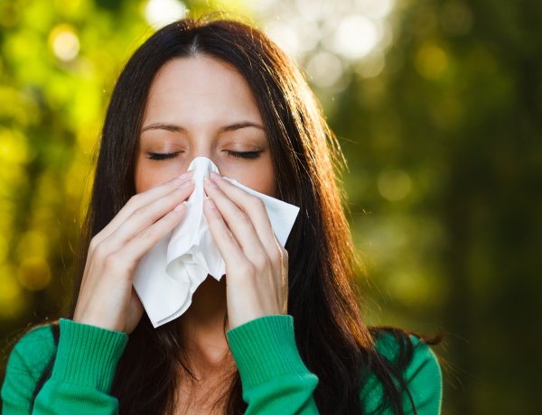 Allergológus: a felmelegedés miatt magasabb lehet a parlagfű pollenkoncentrációja