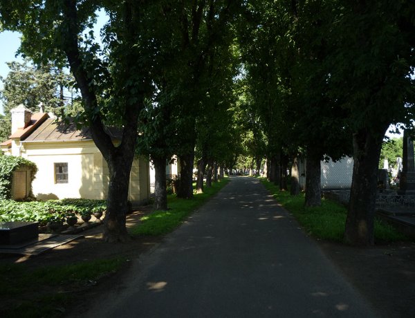 Aszfaltozási munkálatok az Északi temető területén – Időszakos forgalomkorlátozás várható