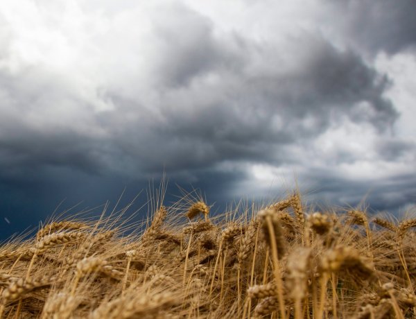 A hét elején véget ér a forróság – Az ősz első napjaiban lehűl az idő