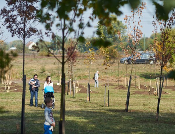 Ősszel is folytatódik az „Ültess fát a holnapért” akció - Plusz 573 fa, 2049 cserje