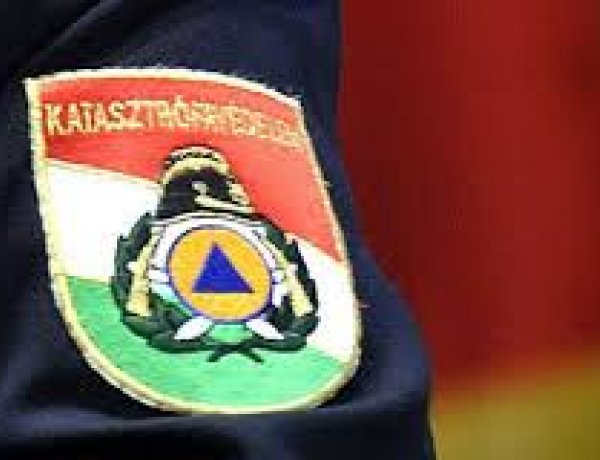 Tragédia is történhetett volna – Személygépkocsira dőlt egy fa a Bazsalikom utcában