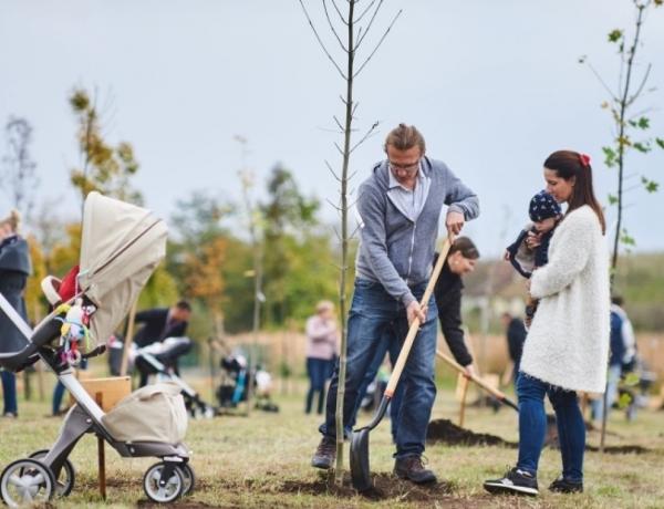 Faültetési pályázatok a NYÍRVV-nél – Egyre zöldebb lesz a város!