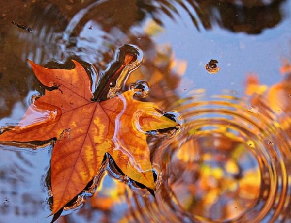 Hidegfront érkezik a héten – Keddtől napközben 20 fok körüli maximumok várhatók