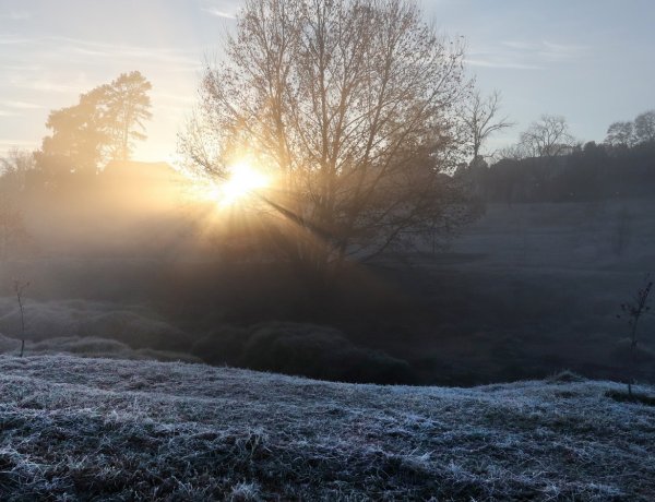 Országos Meteorológiai Szolgálat: a héten érkezhetnek az első őszi talajmenti fagyok