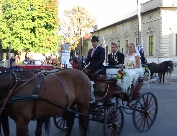 Igazi tirpák lagzi volt hétvégén - 2 hintóval és 27 lovaskocsival vonultak