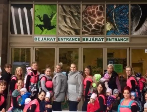 Családi programkavalkádon Lógjunk Anyuval a Nemzetközi Babahordozó Héten is!