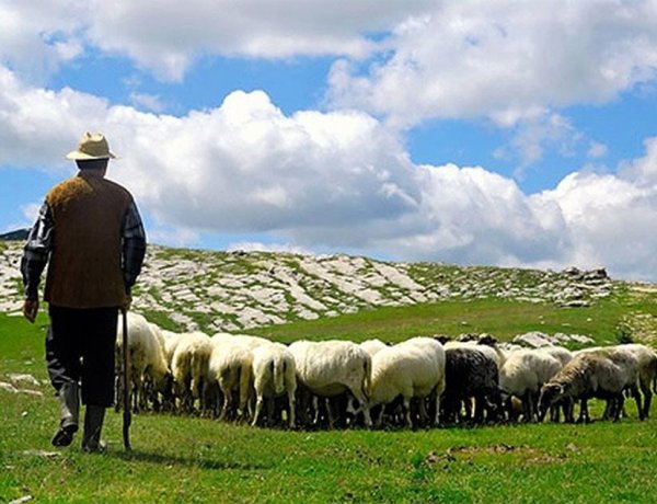 Szent Mihály napi megfigyelések, avagy mi van a fecskékkel, milyen lesz az ősz és a tél?