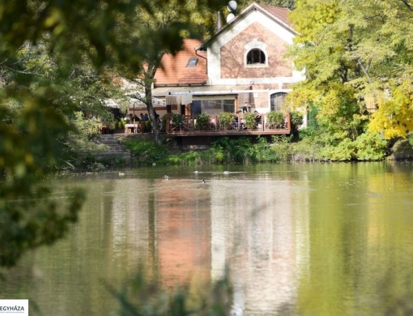 Országos Könyvtári Napok - Kerékpárra fel! Kerékpártúra Sóstóra