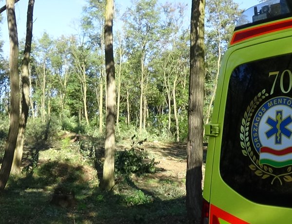 Mumifikálódott holttestet találtak kedd reggel Nagyszállás erdős területén