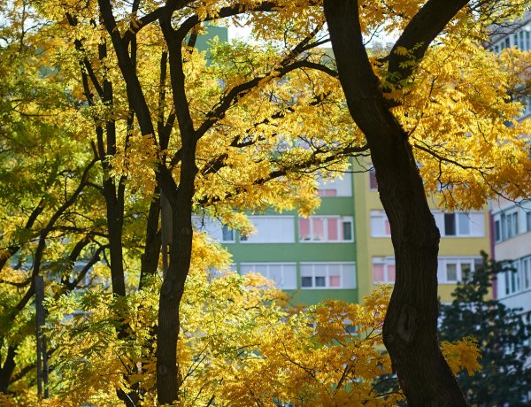 Őszi zsongás a Kossuth téren - népművészeti kiállítás és vasár, koncertek
