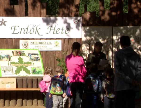 Erdők Hete: Tanösvény-jellegű erdei sétára invitálták az óvodásokat és iskolásokat
