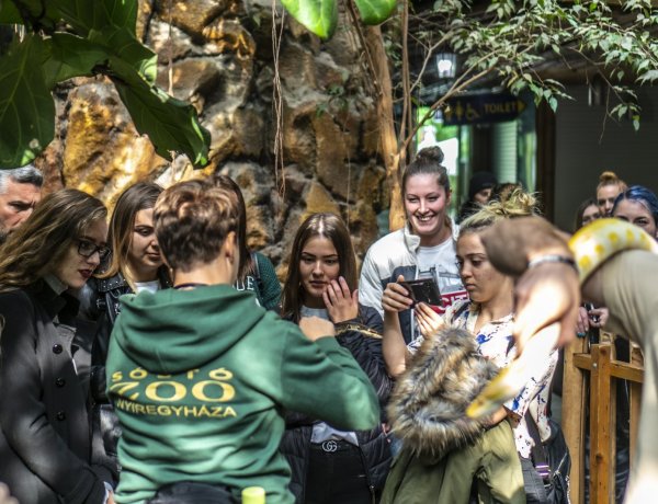 Ma van az Állatok Világnapja! A Nyíregyházi Állatparkban is ünnepeltek