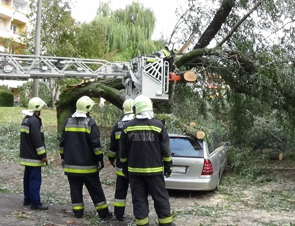 Milliós az anyagi kár – Három járműre zuhant egy korhadt fűzfa vezérága