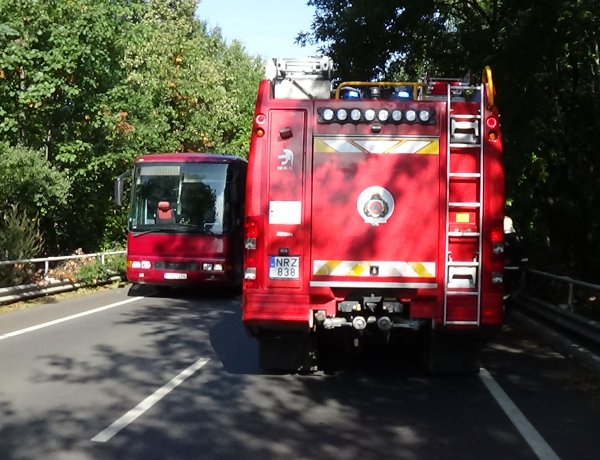 Száraz faág hajlott a Sóstói út forgalmi sávjára, három autóban is anyagi kár keletkezett