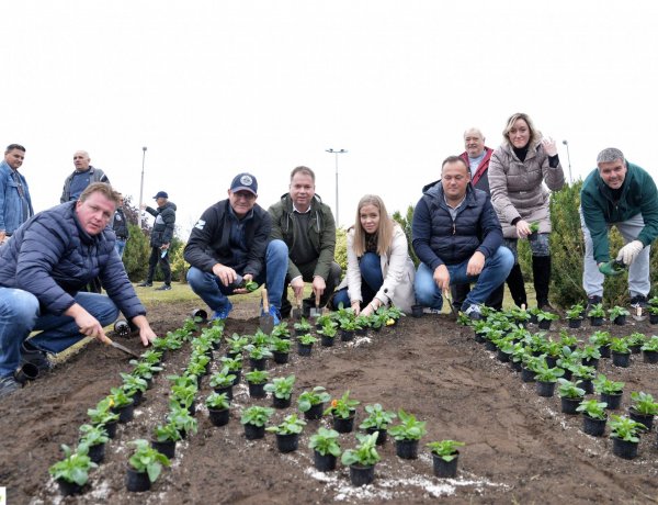 A Kertváros zöldebb lett - Több mint ezer növényt ültettek el 