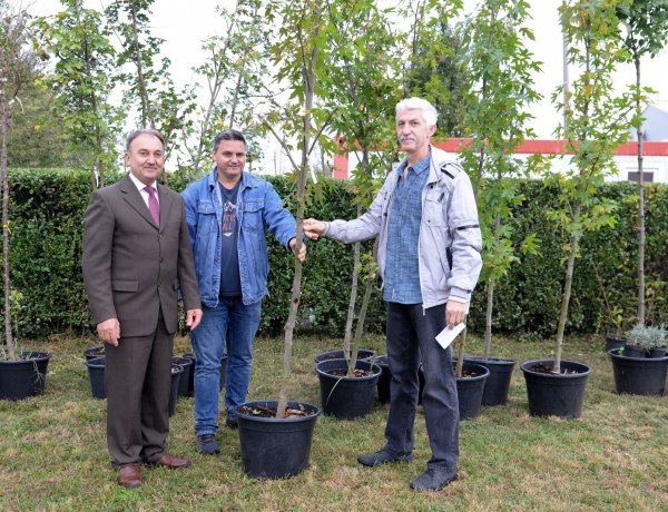 Több mint 200 pályázat érkezett a NYÍRVV Ültess egy fát a holnapért című felhívására
