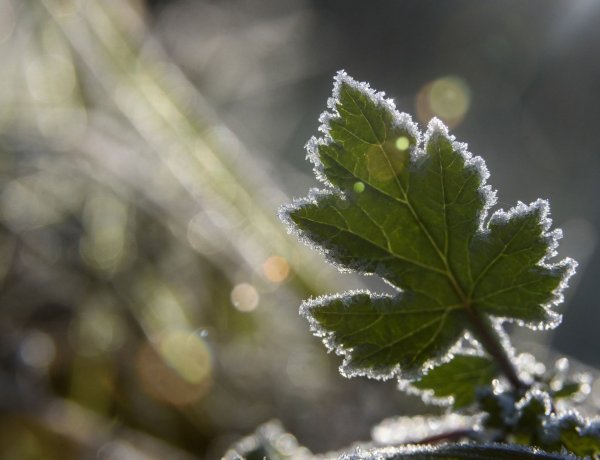 Megdőlt a napi hidegrekord: mínusz 6 Celsius-foknál alacsonyabb hőmérsékletet is mértek