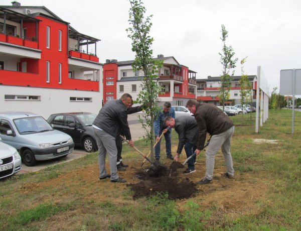 Faültetések Örökösföldön – Az új körforgalom parkosítása is megtörtént!