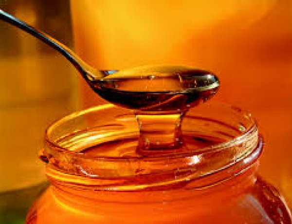 Nyírségi Termelői Méz Konferencia a Móricz Zsigmond könyvtárban 