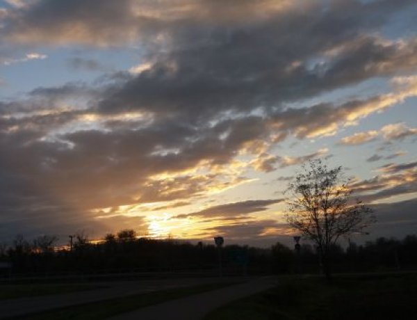 A köd feloszlása után kisüt a nap a hétvégén: ilyen időjárásra számíthatunk!