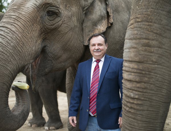 Szeretett városunk, Nyíregyháza – Gajdos László boldog és büszke nyíregyházi