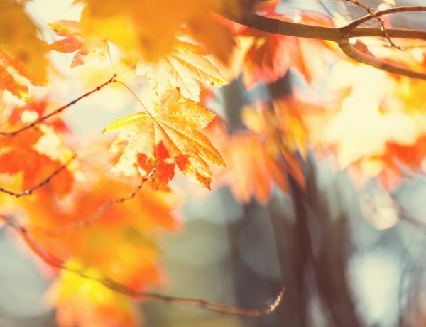 Időjárás-előrejelzés a légszennyezettség várható alakulása szempontjából