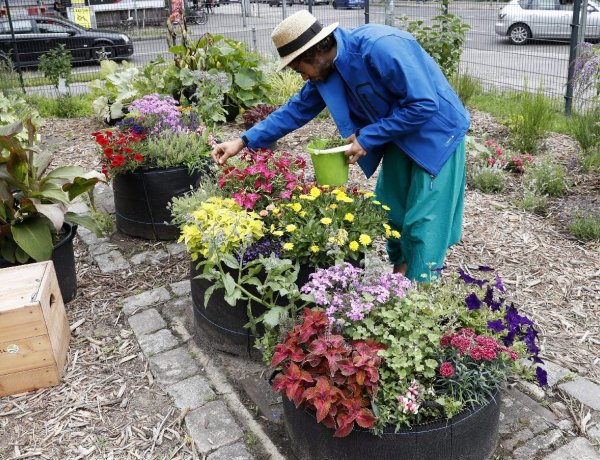 Hogyan készítsük fel növényeinket a következő szezonra ősszel?
