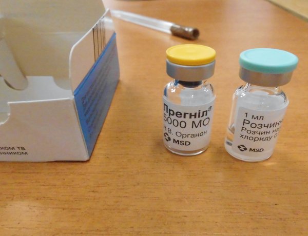 Tiltott szerek az édességek között – Hormontartalmú készítményeket foglaltak le