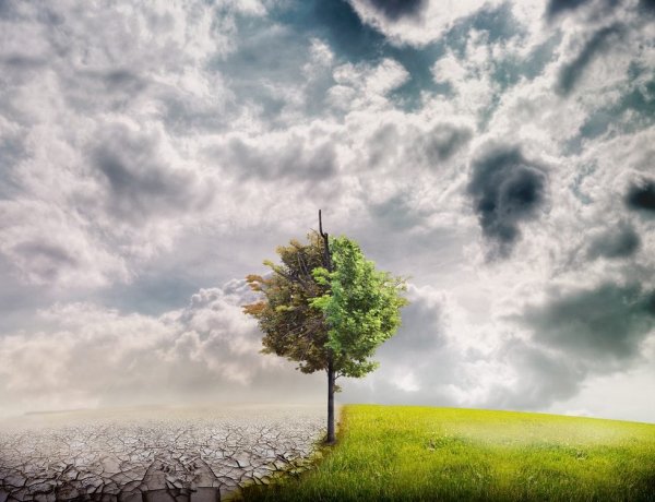 Global Climathon Day – Nyíregyháza is felveszi a harcot a légszennyezettséggel szemben!