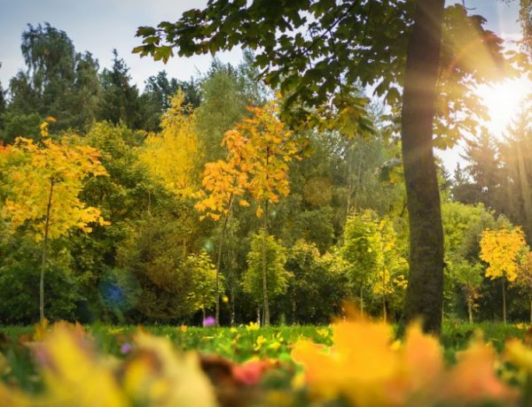 Napsütésre és 28 fokra számíthatunk – Csütörtökön is marad a napos idő