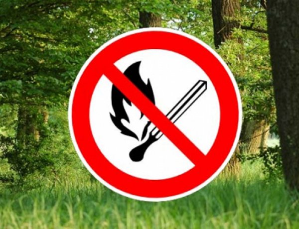 Hasznos információk a tűzgyújtásról és az égetésről Közterület-felügyelettől