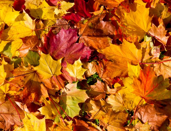 Északkeleten kisebb a csapadék esélye kedden – Ilyen időjárásra számíthatunk