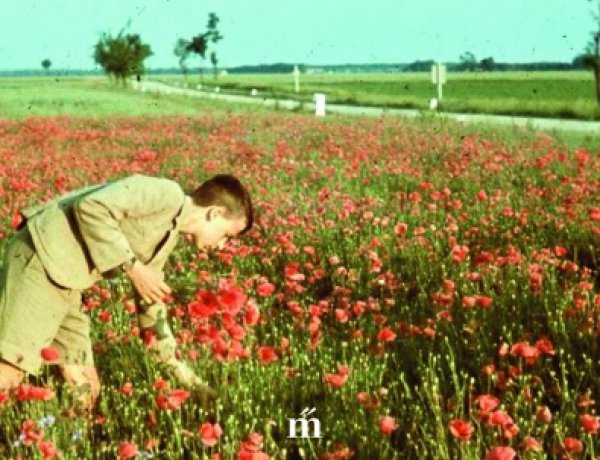 Alkotó tagtársak 28. -  Csabai László új könyvének  bemutatója