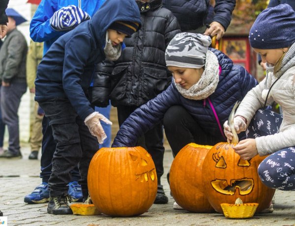 Kifaragott tökbe rejtve kapták a húst a Nyíregyházi Állatpark ragadozói