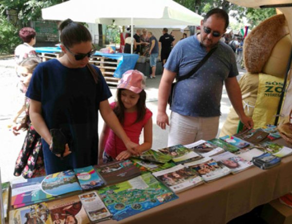 Tudatos építkezés az ukrán turisztikai piacon - Egyre több turista érkezik Nyíregyházára