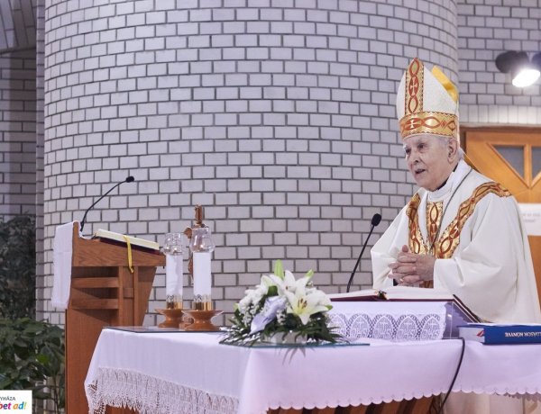 Kállay – emléktábla a Szent Imre Iskola falán - A kállayak előtt tisztelegnek