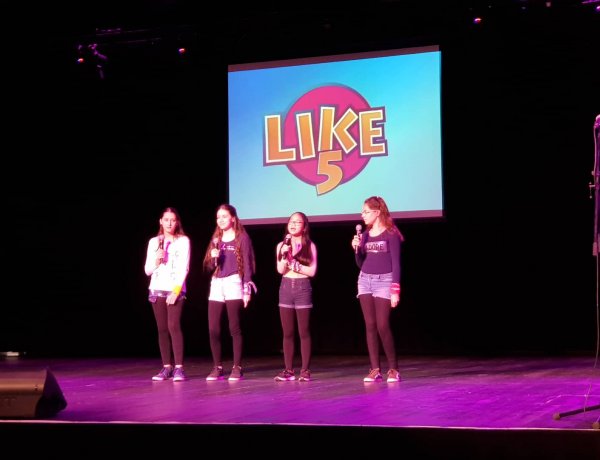 Idén is megrendezték a LIKE5 tehetségkutató versenyt - 26 versenyző állt színpadra