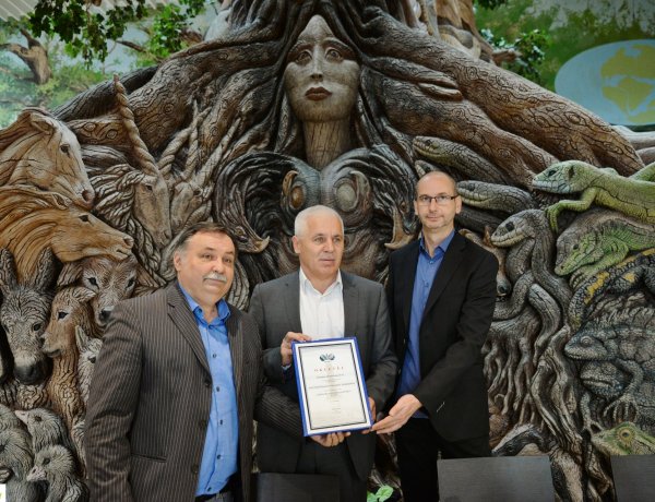 Díj a Pangeának - rangos elismerést kapott a nyíregyházi hotel