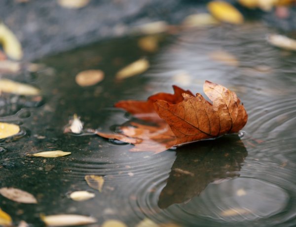 Fokozottan mérséklődik a meleg a héten, többfelé várható eső